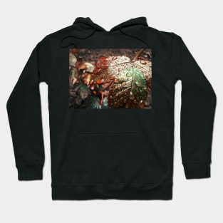 Water drops Hoodie